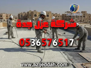 شركة عزل بجدة